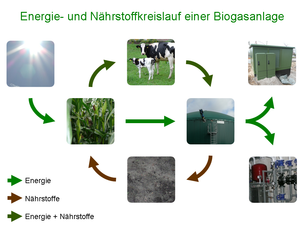 Energie- und Nährstoffkreislauf